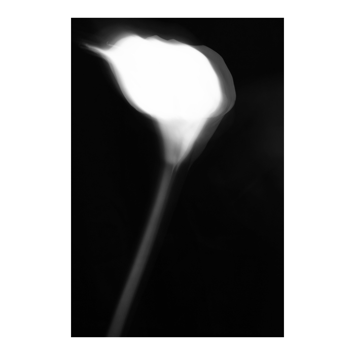9e5f7427dcedc1abd332337e158ef930_1742953999_0768.jpg