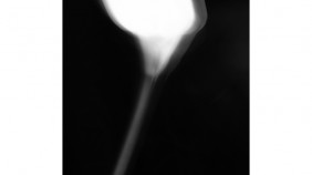 9e5f7427dcedc1abd332337e158ef930_1742953999_0768.jpg